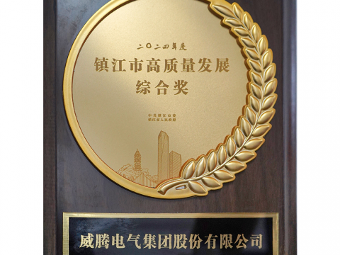 喜讯│永利集团官网荣获2024年度镇江市高质量生长综合奖